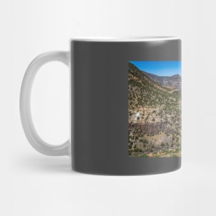 Salt River Canyon Wilderness Mug